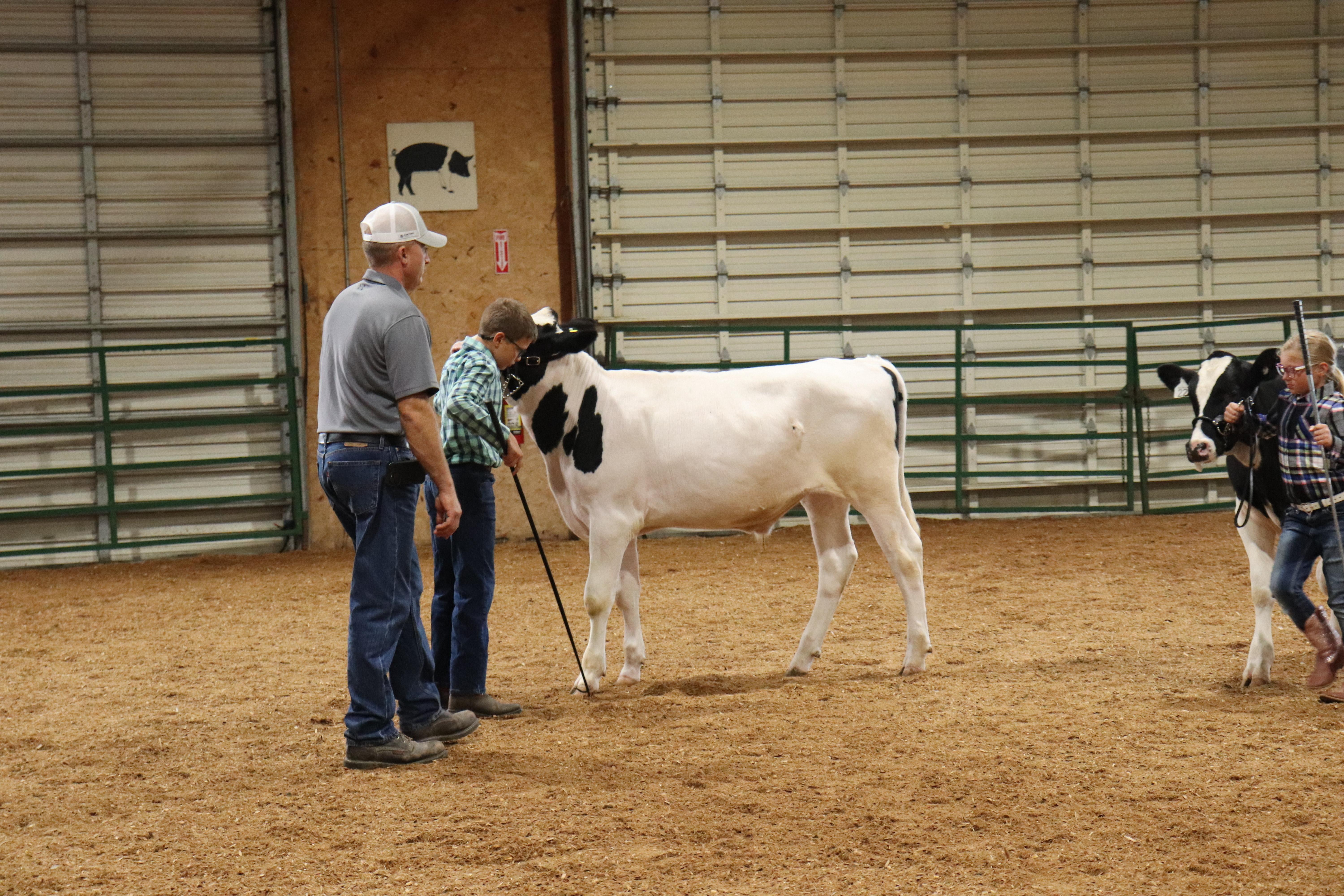 A man next to a young showman and his dairy calf.
